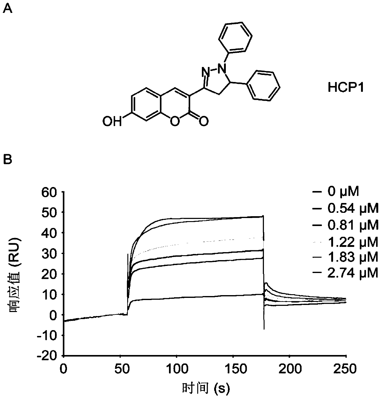 Application of 7-hydroxycoumarin pyrazoline derivatives in the preparation of grp94 inhibitors