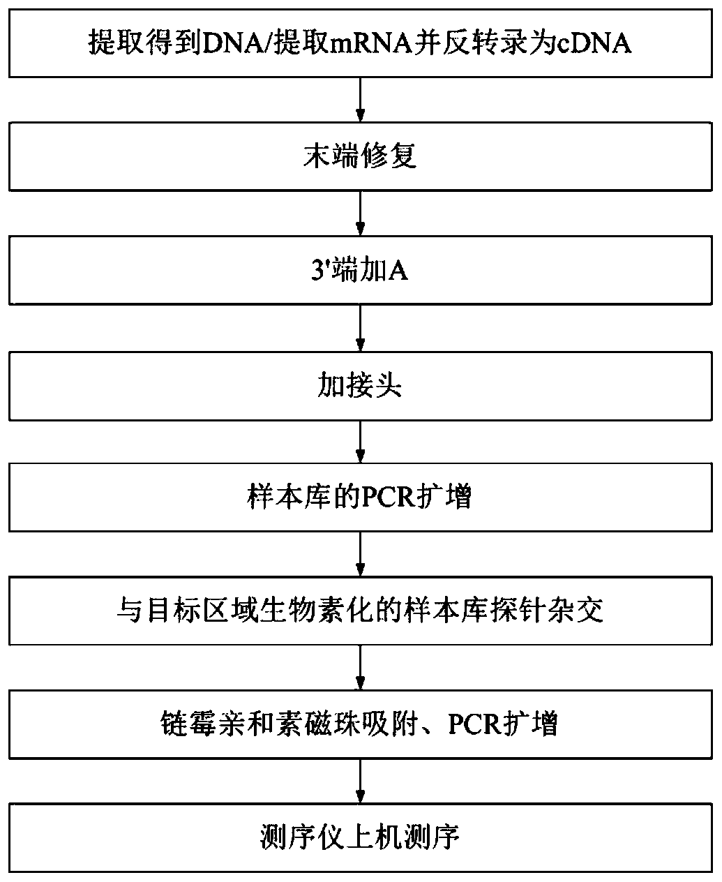 FGFR (fibroblast growth factor receptor) fusion gene detection method and reagent kit and probe library