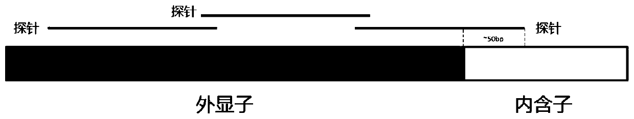 FGFR (fibroblast growth factor receptor) fusion gene detection method and reagent kit and probe library