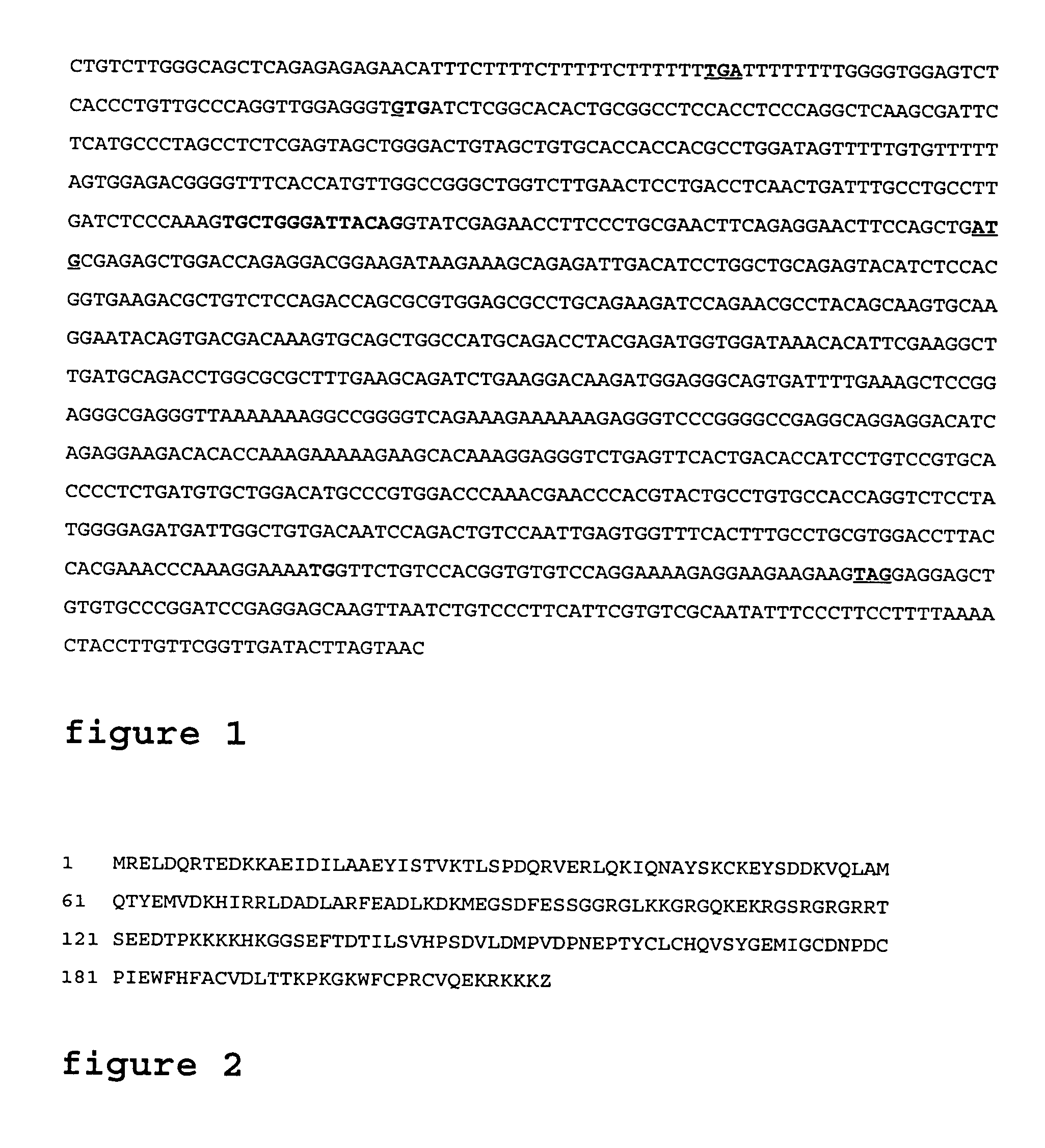 IAPS associated cell cycle proteins, compositions and methods of use