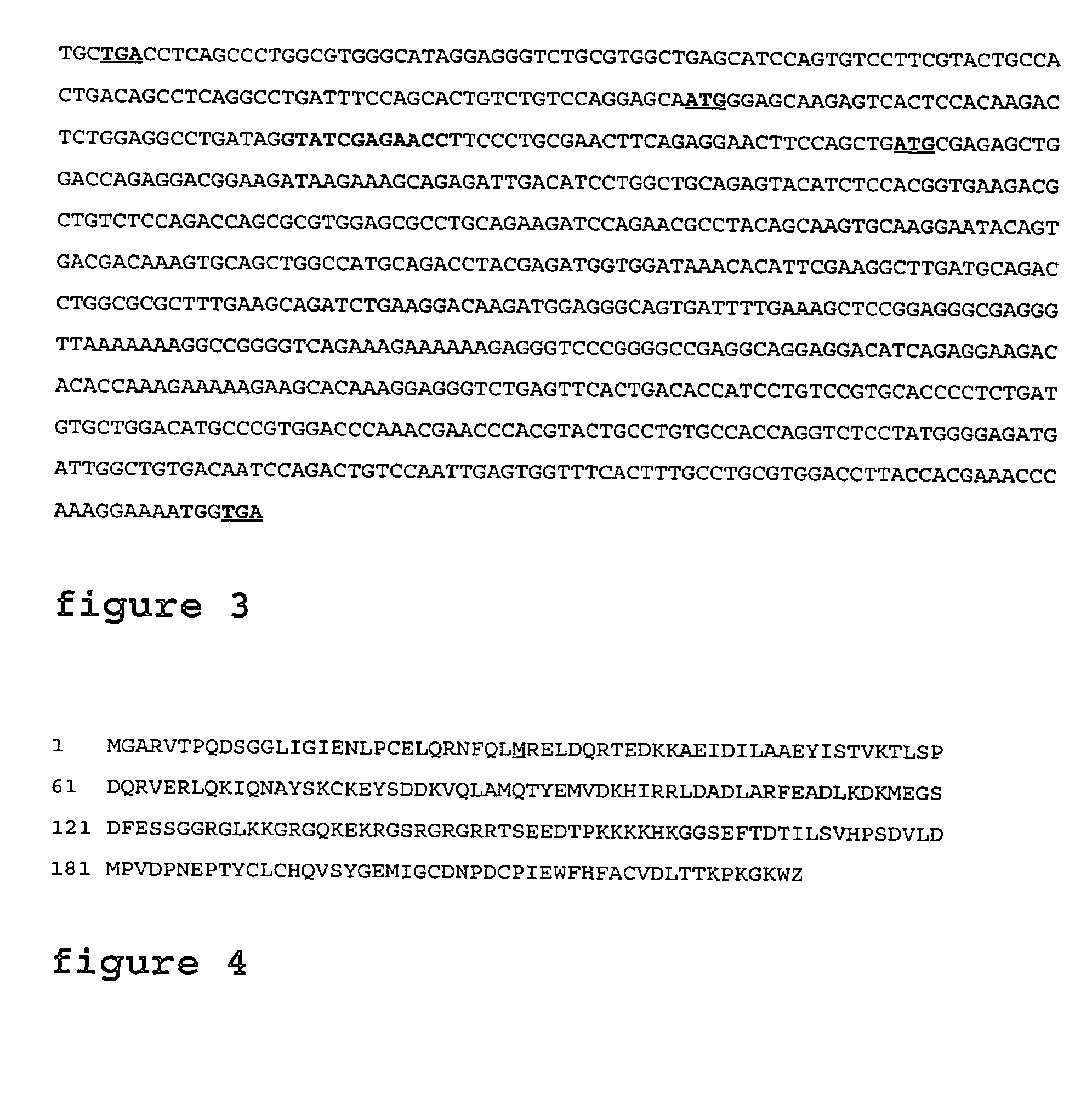 IAPS associated cell cycle proteins, compositions and methods of use