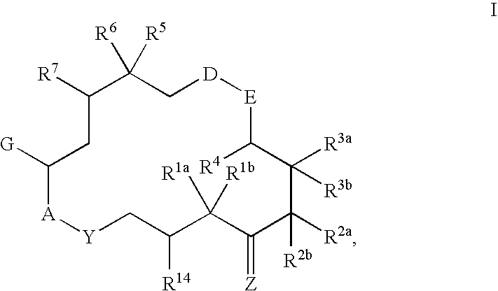 6-alkenyl-, 6-alkinyl- and 6-epoxy-epothilone derivatives, process for their production, and their use in pharmaceutical preparations