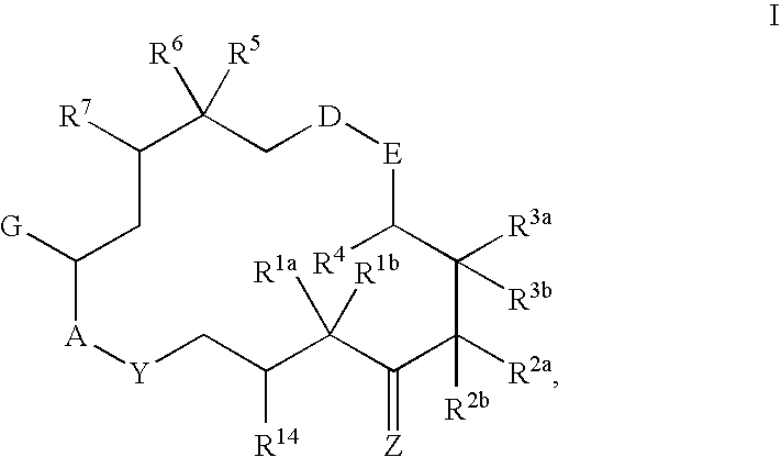 6-alkenyl-, 6-alkinyl- and 6-epoxy-epothilone derivatives, process for their production, and their use in pharmaceutical preparations