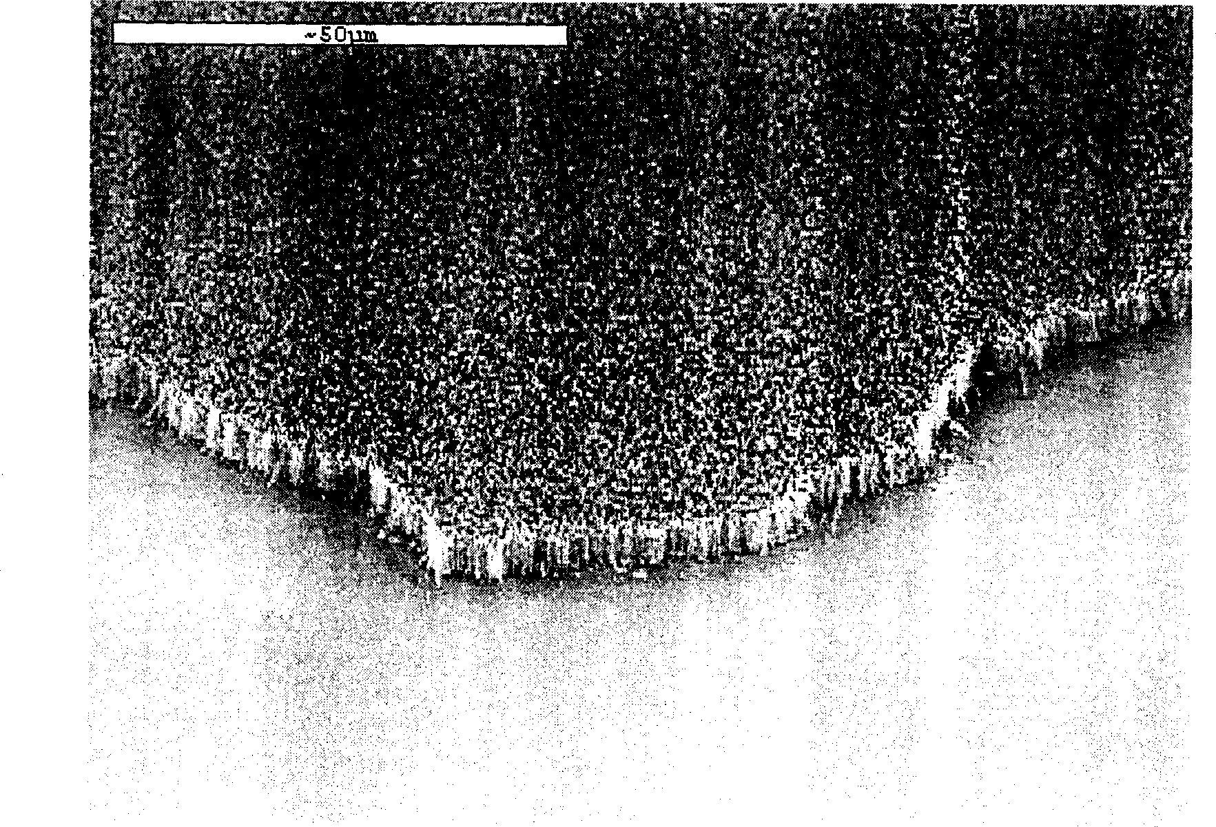 Array nanotube, mfg. method and use thereof