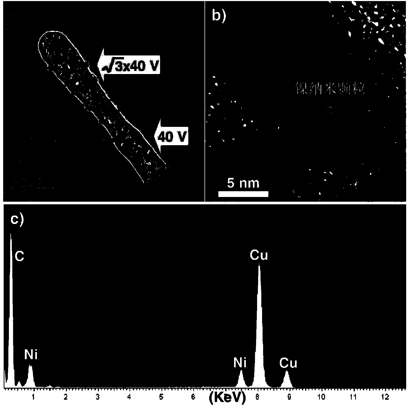 Carbon nano bottle containing nickel nano particles and method for preparing carbon nano bottle