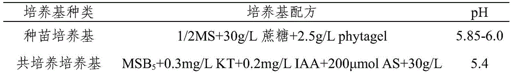 A method for improving transgenic efficiency of cotton