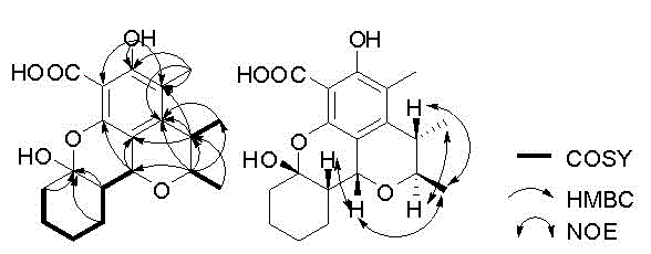Penicillium citrinum sourced citrinin compound (penicitrinol O) as well as preparation method and application thereof
