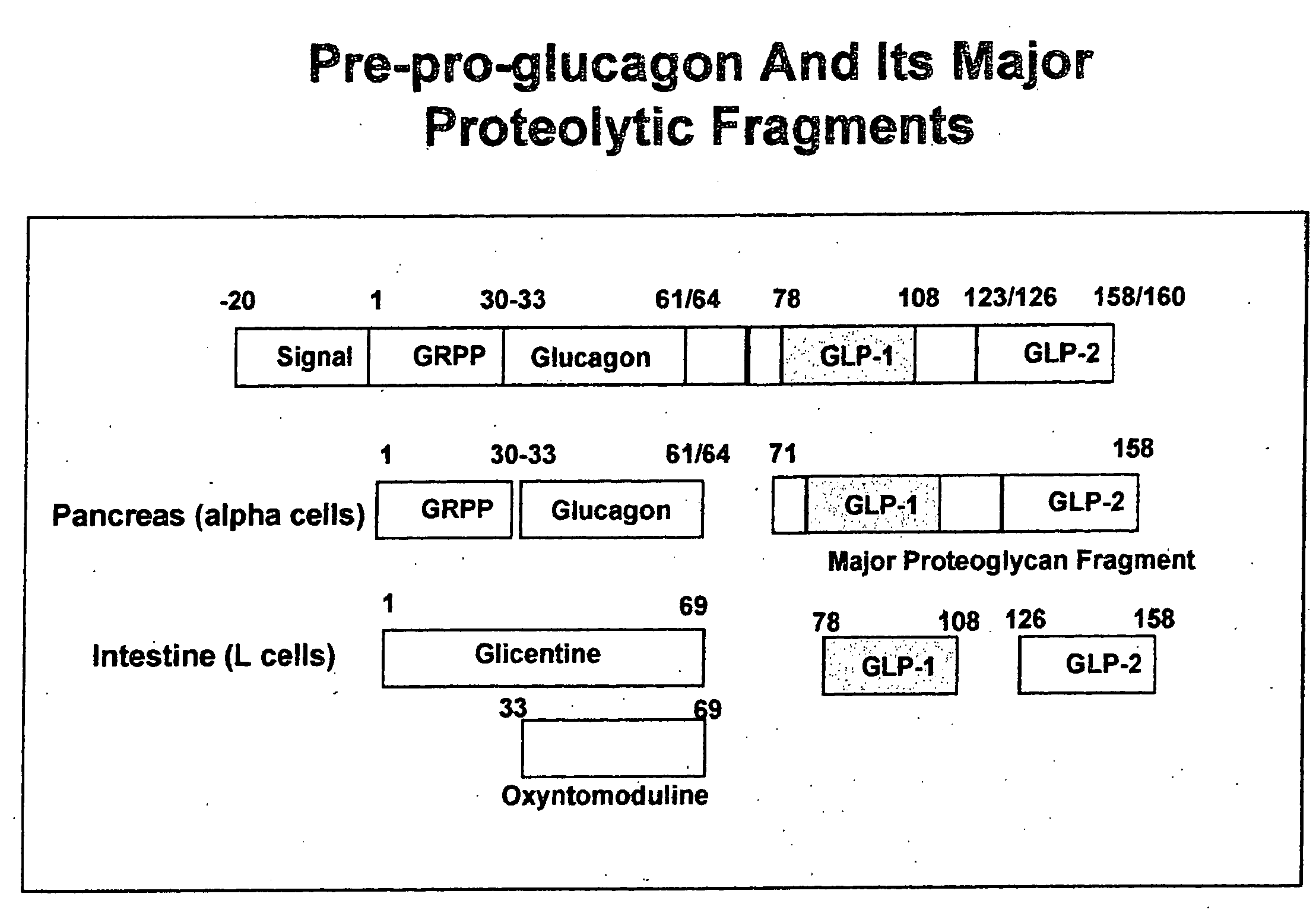 Modified nucleotide sequence encoding glucagon-like peptide-1 (glp-1), nucleic acid construct comprising same for production of glucagon-like peptide-1 (glp-1), human cells comprising said construct and insulin-producing constructs, and methods of use thereof