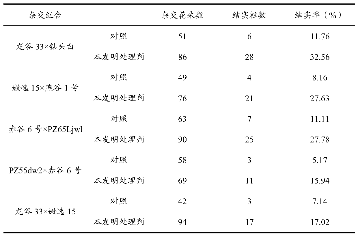Treatment agent for increasing hybridization setting percentage of unhusked rice and method
