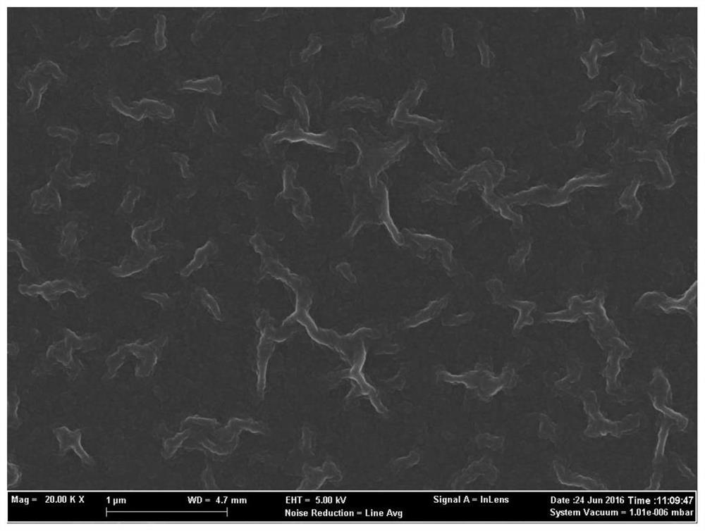 Preparation method of meta-aramid-based polyamide composite nanofiltration membrane