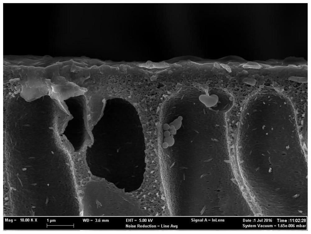 Preparation method of meta-aramid-based polyamide composite nanofiltration membrane