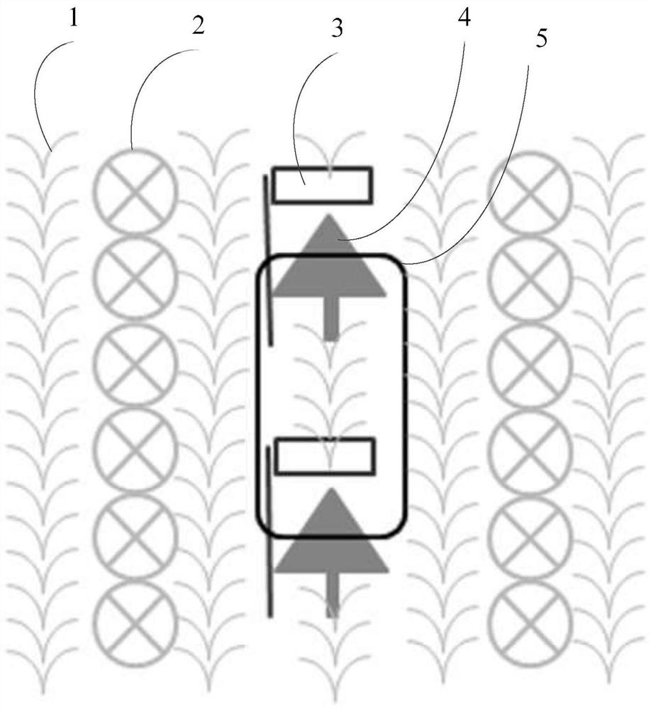 Method for planting nursery stocks in high and cold altitude areas