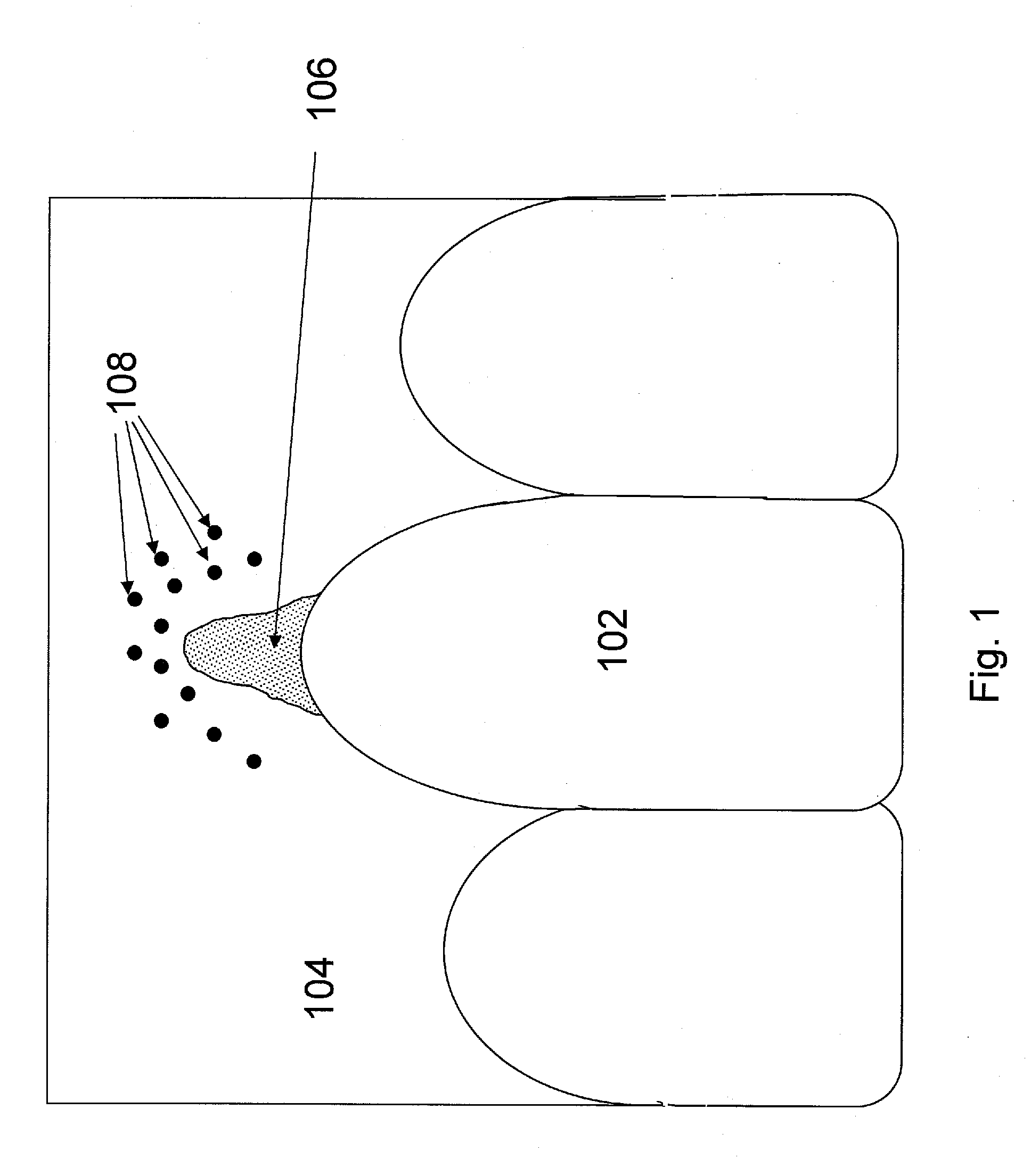 Method and Apparatus for Regeneration of Oral Cavity Tissues