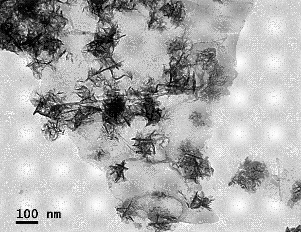 A graphene-loaded flower-like manganese dioxide composite material and its ultrasonic synthesis method