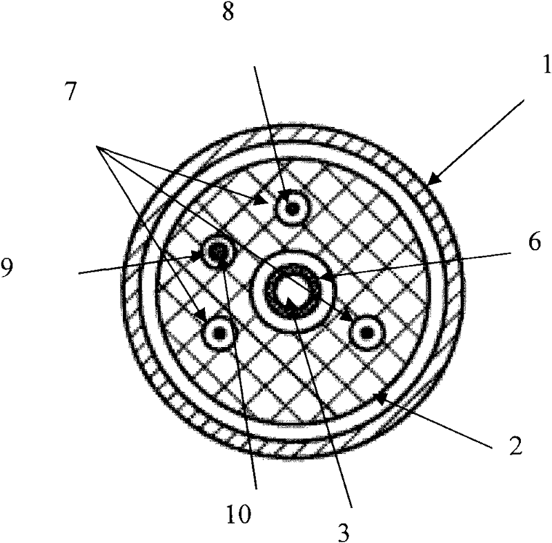 A heart valve delivery system and its delivery device