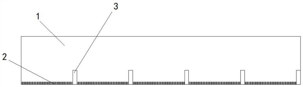 Method for measuring weight of orchid seeds