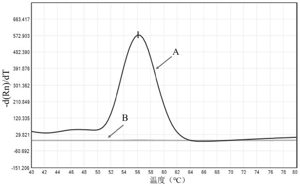 Kit for detecting nontuberculous mycobacteria, detection method and application thereof