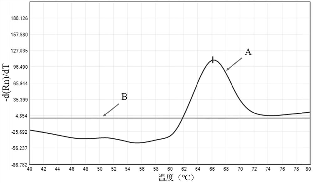 Kit for detecting nontuberculous mycobacteria, detection method and application thereof