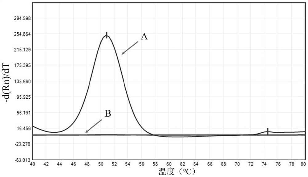 Kit for detecting nontuberculous mycobacteria, detection method and application thereof