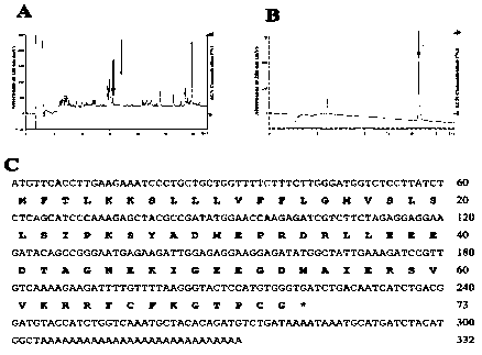 Skin wound repair peptide RL-RF10 as well as purification method and application thereof