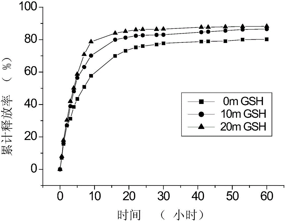 Nano particles with double pH/oxidation reduction sensitivities