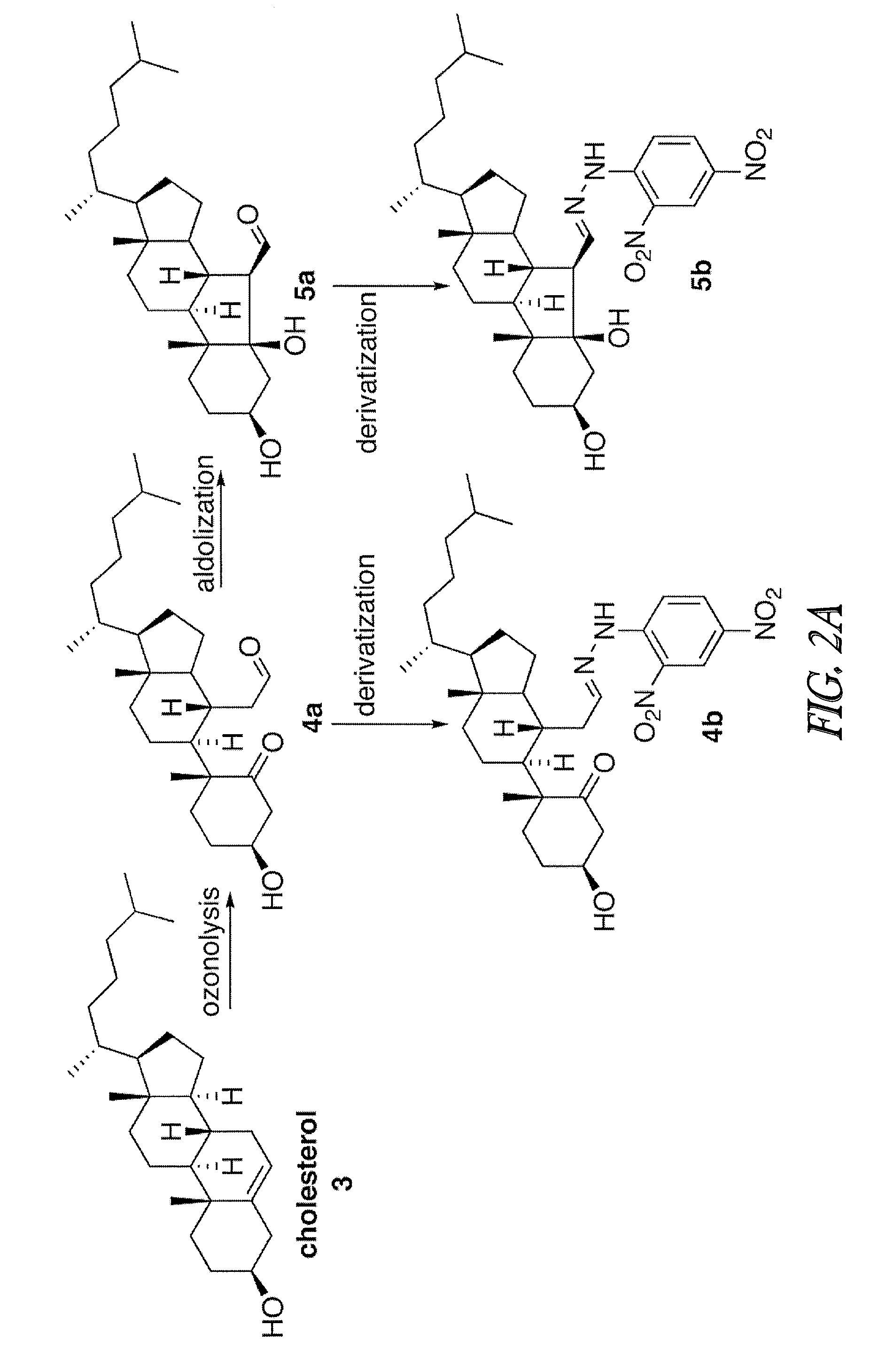 Methods to identify therapeutic agents