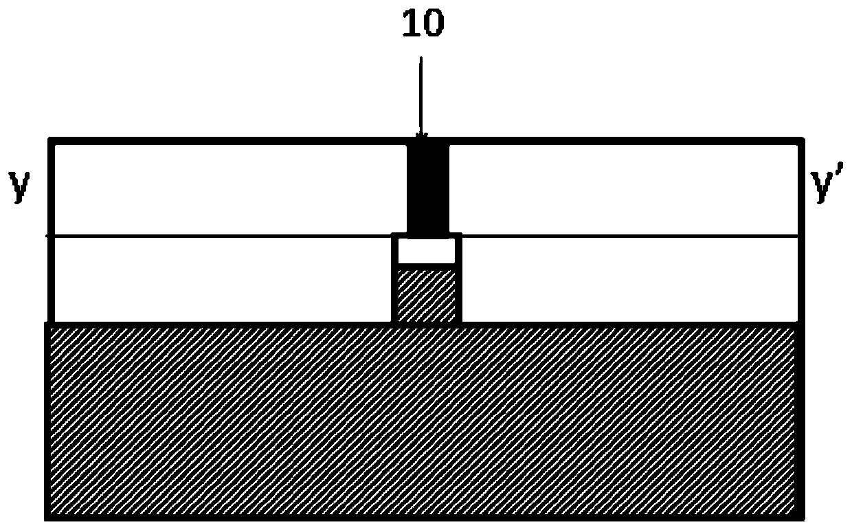 Method for Junction Staining of Transmission Electron Microscopy Samples