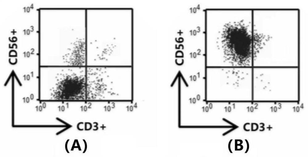 A kind of cryopreservation method of NK cells
