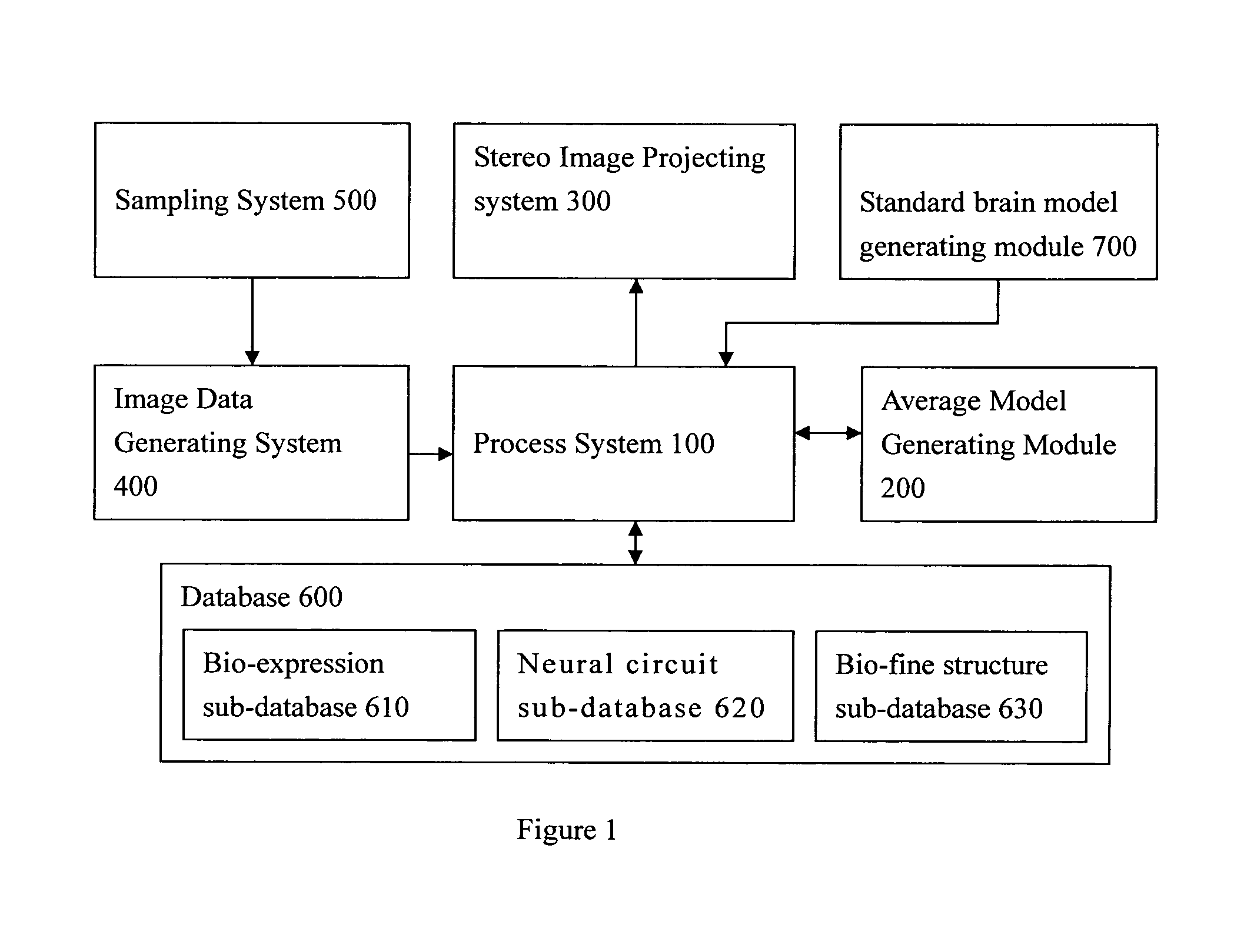 Bio-expression system with module for creating the standard drosophila brain model and its coordinate system