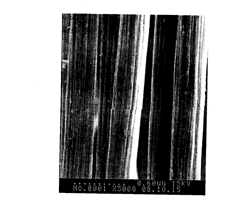 Method for carbon fiber surface modification of plasma coated with nano colloidal sols by plasma treatment
