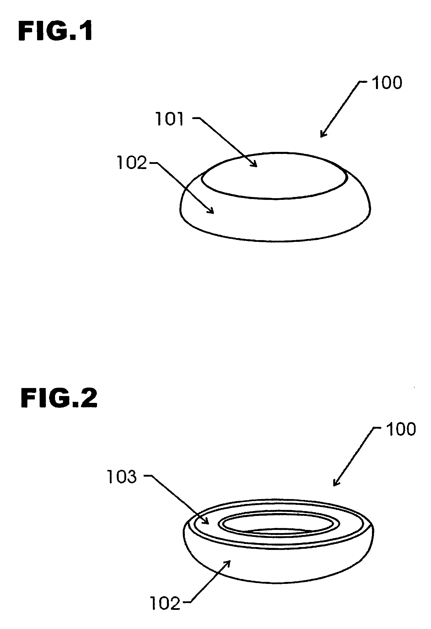 Refrigerator magnet with a magnifying apparatus