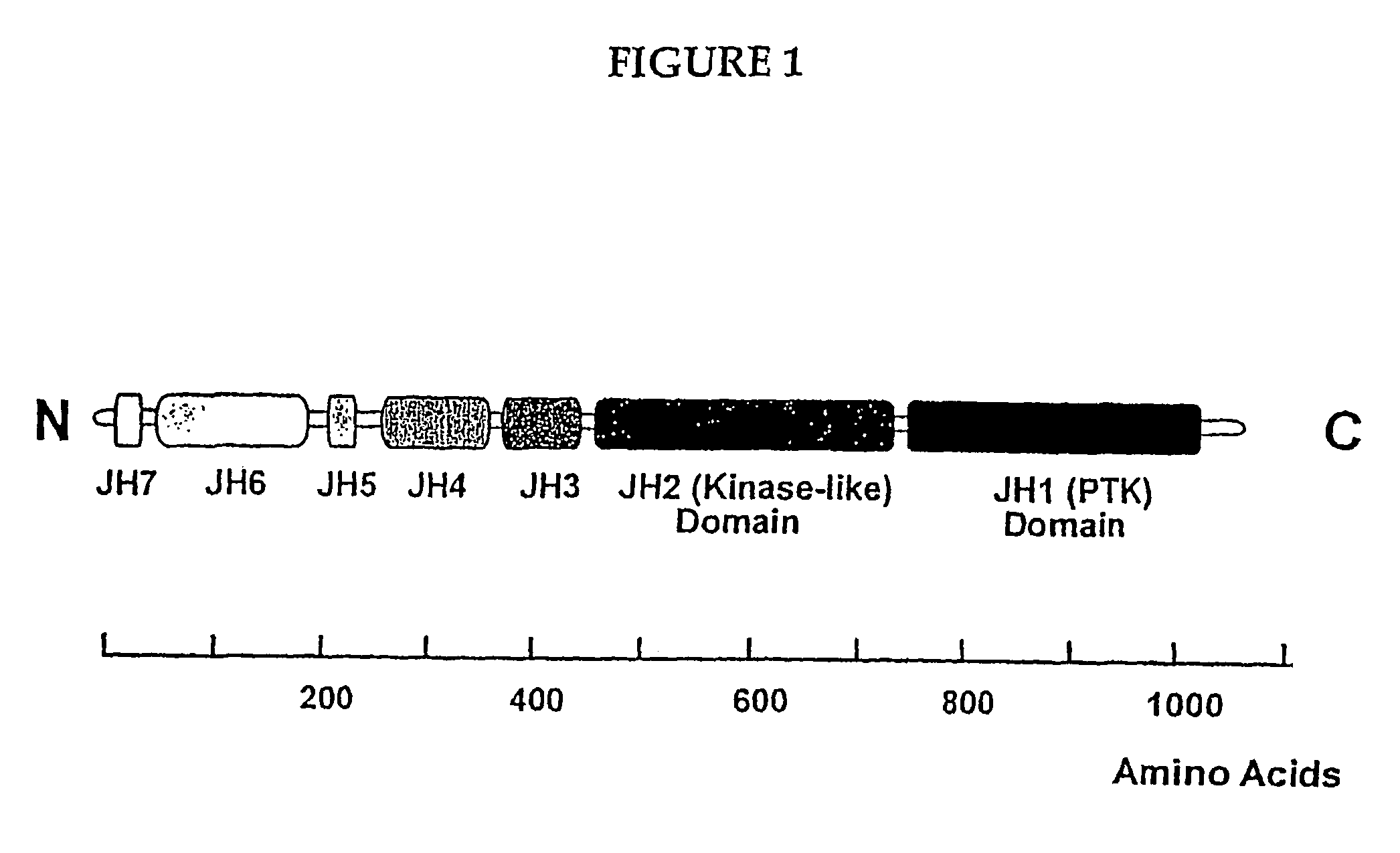 Peptide that inhibits janus kinase