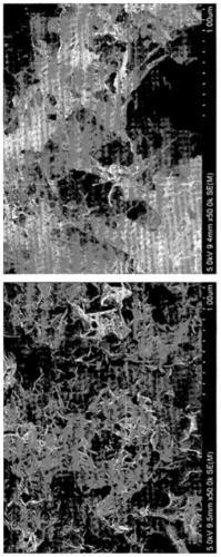 Method for preparation of plate-type manganese dioxide nanoparticle