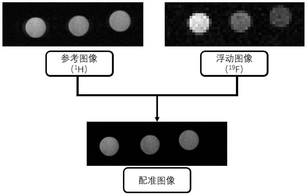 Multi-nuclide magnetic resonance multi-scale image registration method