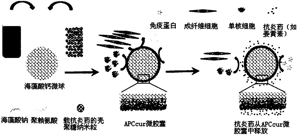 Alginate-drug loaded nanoparticle-polycation microcapsule and preparation and application thereof