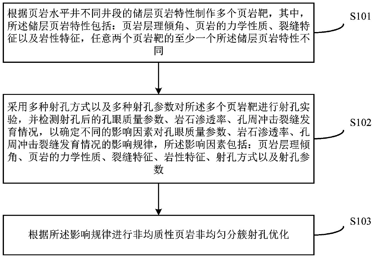 Non-uniform clustering perforation optimization method for non-homogeneous shale