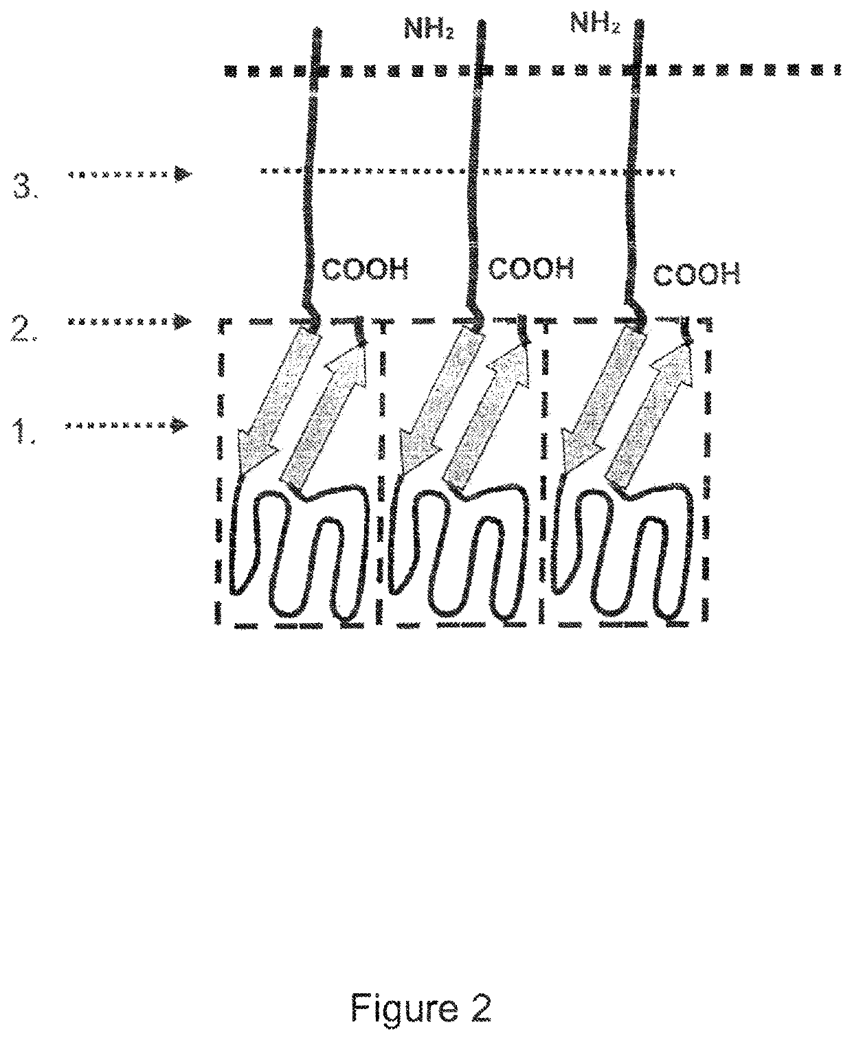 Single-chain light receptor agonist proteins