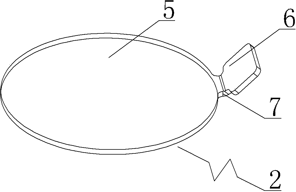 Slide structure for slide culture dish