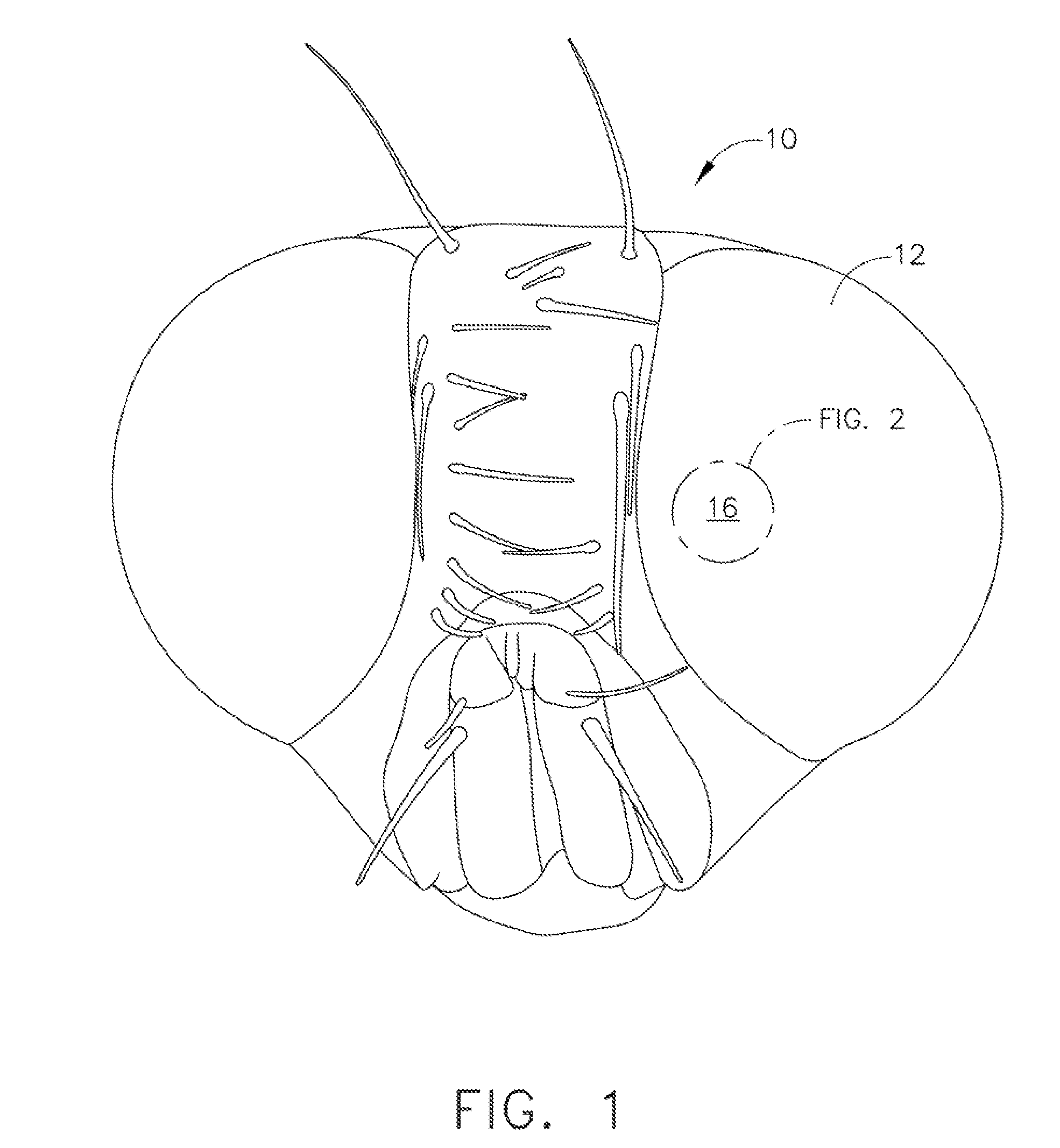 Method and apparatus for scaled up reproduction of detailed features