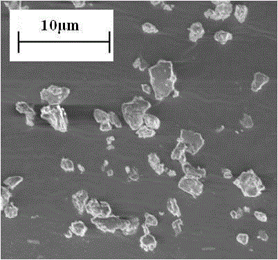 Self-cleaning nano protective liquid used for glass and preparation method
