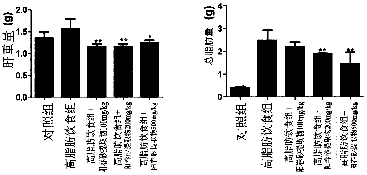 Composition containing amomum villosum extract for prevention, alleviation, or treatment of obesity