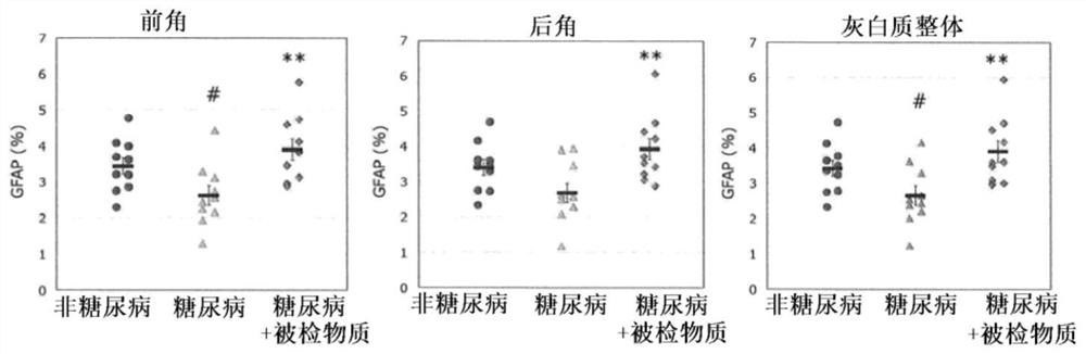 Prevention or treatment method for peripheral neuropathy or pain accompanying disease in which peripheral neuropathy or astrocyte disorder is recognized