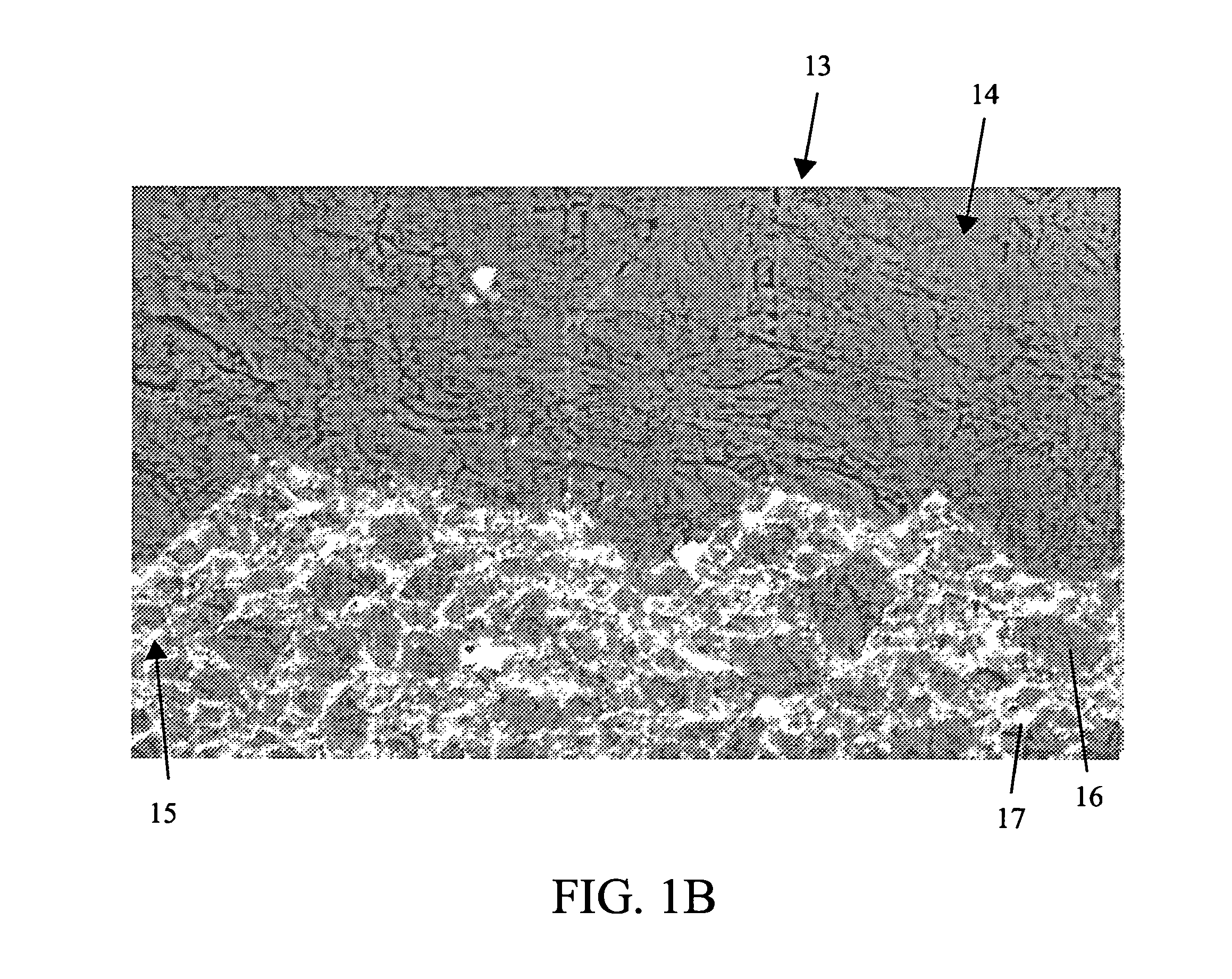 Polycrystalline diamond composite constructions comprising thermally stable diamond volume