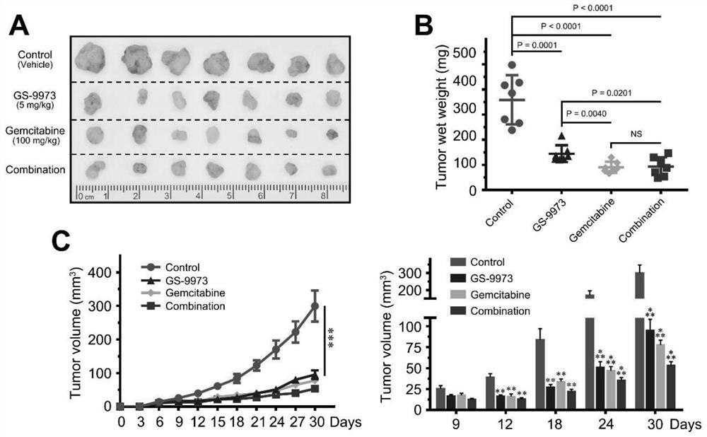 Spleen tyrosine kinase as a therapeutic target for intrahepatic cholangiocarcinoma