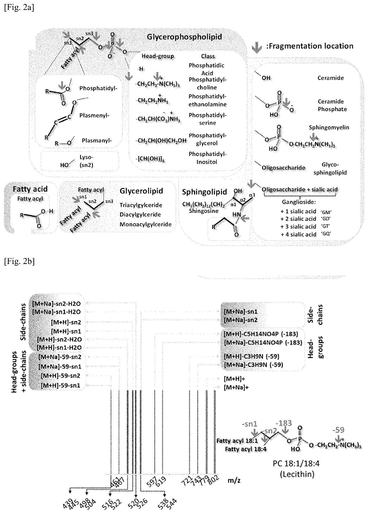 Rapid analysis and identification of lipids from liquid chromatography-mass spectrometry (LC-MS) data