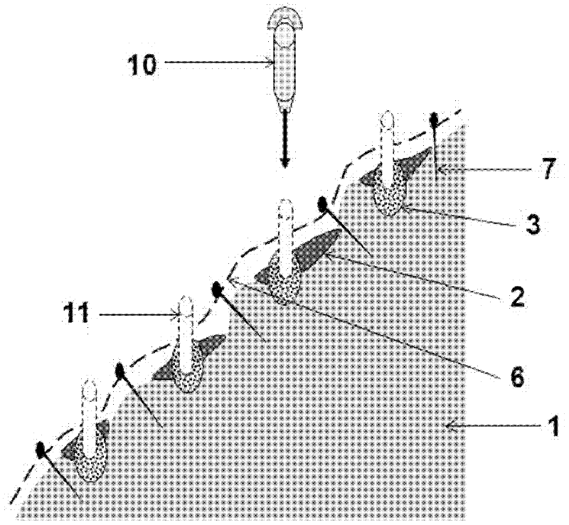 Method for constructing shrub and grass plant communities on rocky slope and application thereof