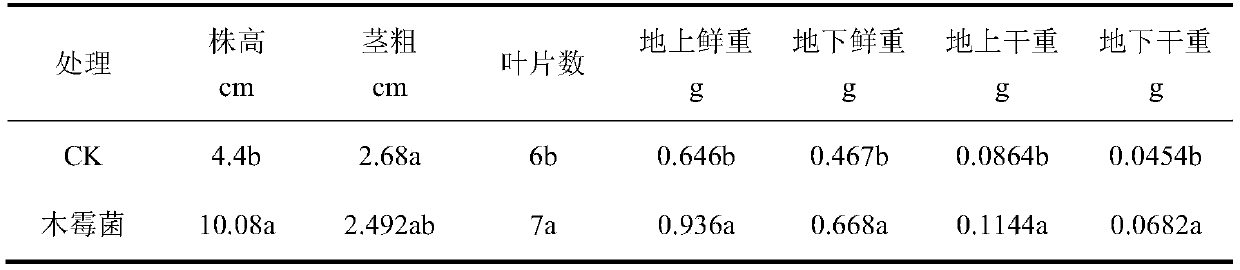 Preparation method for biological matrix prepared from compact plant fiber