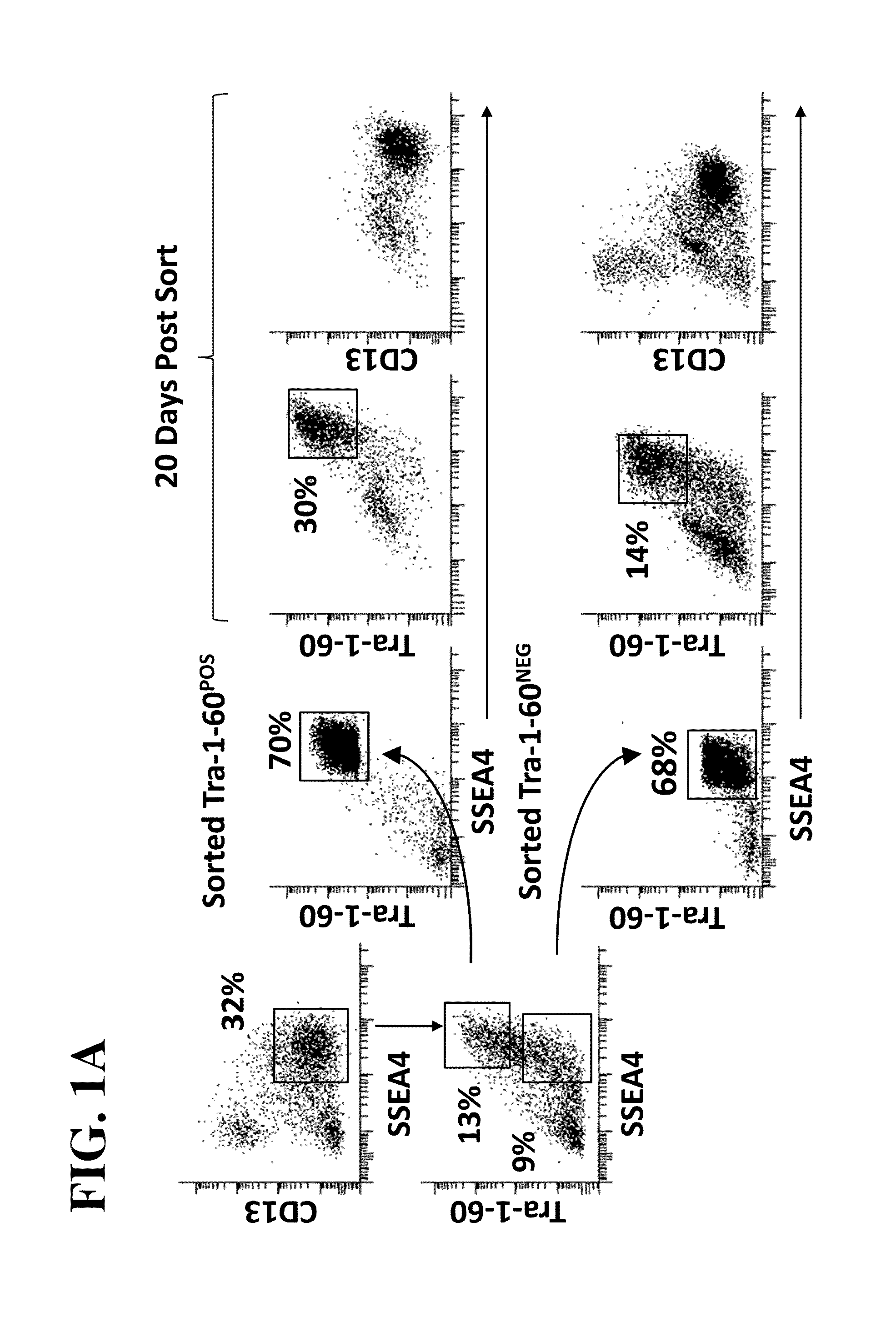 Methods for producing induced pluripotent stem cells