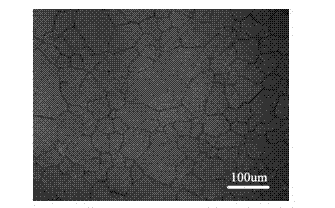 Method for growing large area of layer-number-controllable graphene at low temperature through chemical vapor deposition (CVD) method by using polystyrene solid state carbon source