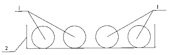 Spiral conveyer